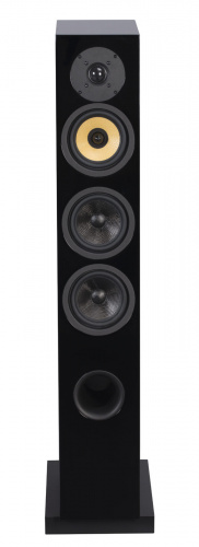 Напольная акустика Davis Acoustics Courbet 5 Black Gloss купить фото 4