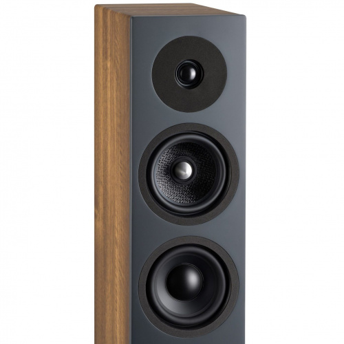 Напольная акустика Davis Acoustics Krypton 6 Classik Walnut купить фото 2