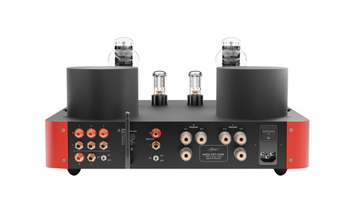 Усилитель интегральный Fezz Audio Mira Ceti 300b EVO Burning Red купить фото 4