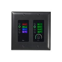 BSS EC-8BV-BLK-M -EU - панельный контроллер с 8 кнопками и регулятором уровня,  Ethernet купить