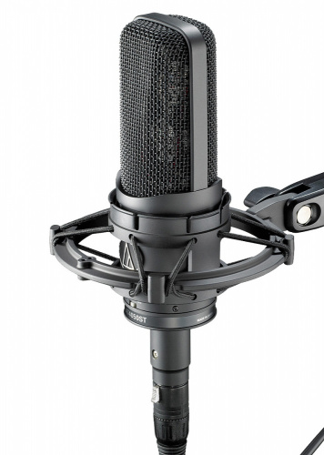 Студийный микрофон Audio-Technica AT4050SM купить фото 3