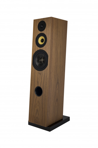 Напольная акустика Davis Acoustics Courbet 8 Walnut Veneer купить фото 6