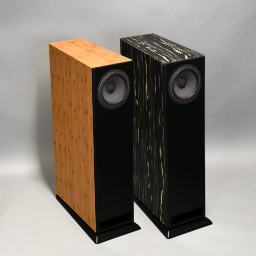 Напольная акустика Davis Acoustics MV One Master Ebony купить фото 2