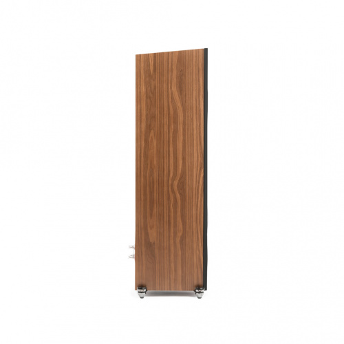 Напольная акустика Martin Logan  Motion F20 Walnut купить фото 5