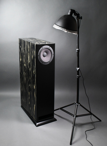 Напольная акустика Davis Acoustics MV One Master Ebony купить фото 4