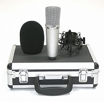Студийный микрофон INVOTONE SM150B купить
