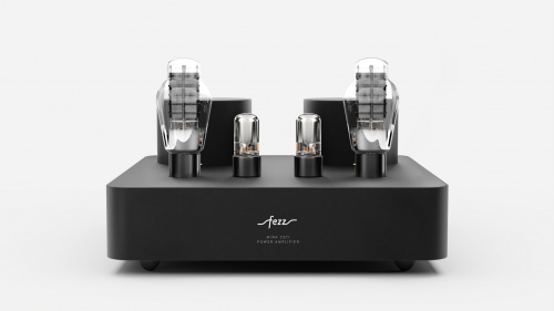 Усилитель Fezz Audio Mira Ceti 300b MONO Power Amplifier EVO Black Ice купить фото 3