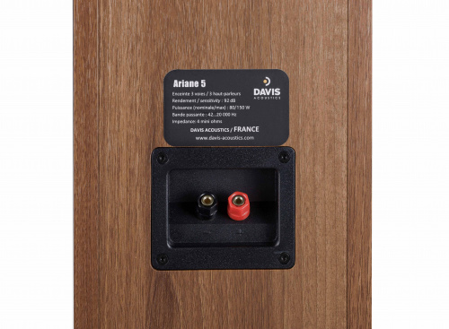 Напольная акустика Davis Acoustics Ariane 5 Dark Walnut купить фото 6