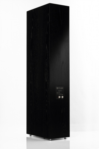 Напольная акустика PYLON AUDIO Ruby 30 natural veneer OAK, Dark OAK купить фото 2