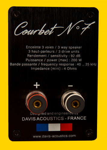 Напольная акустика Davis Acoustics Courbet 7 Yellow Gloss купить фото 18