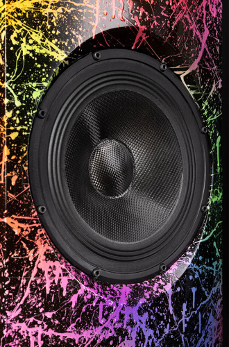 Напольная акустика Davis Acoustics Stellar Pop Art купить фото 5