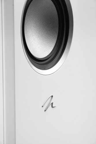 Напольная акустика Martin Logan  Motion XT F100 Tower Satin White купить фото 10