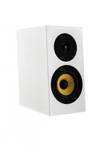 Полочная акустика Davis Acoustics Courbet 3 White Gloss купить фото 3