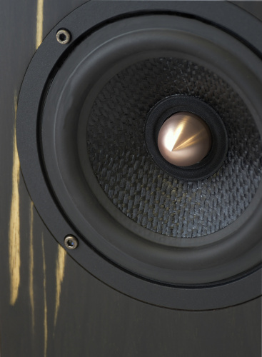 Полочная акустика Davis Acoustics Olympia One Master 35 Ebony купить фото 3