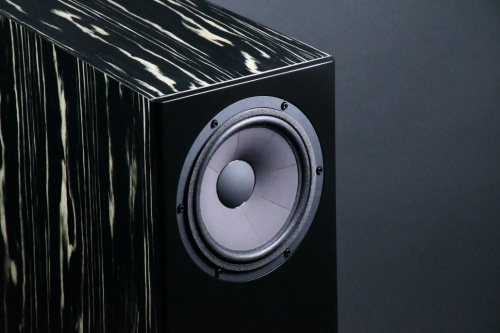 Напольная акустика Davis Acoustics MV One Master Ebony купить фото 3