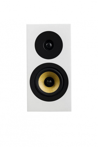 Полочная акустика Davis Acoustics Courbet 3 White Gloss купить фото 6