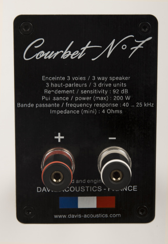 Напольная акустика Davis Acoustics Courbet 7 White Gloss купить фото 10