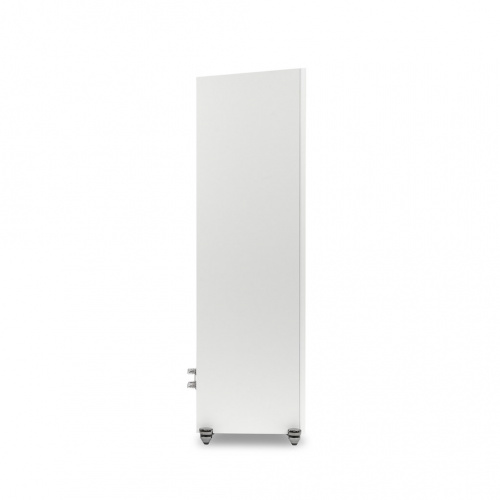 Напольная акустика Martin Logan  Motion XT F100 Tower Satin White купить фото 5