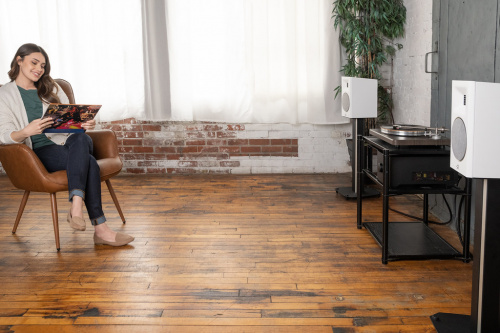 Полочная акустика Martin Logan Motion B10 Satin White купить фото 12