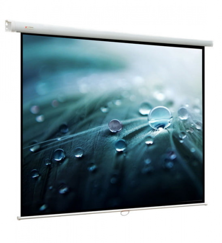 Моторизированный проекционный экран Viewscreen Antis (4:3) 571*431 (559*419) MW купить
