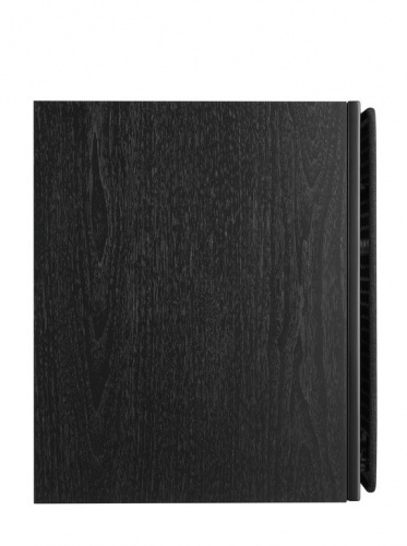 Полочная акустическая система DALI OBERON 3 Цвет: Черный дуб [BLACK ASH] купить фото 4