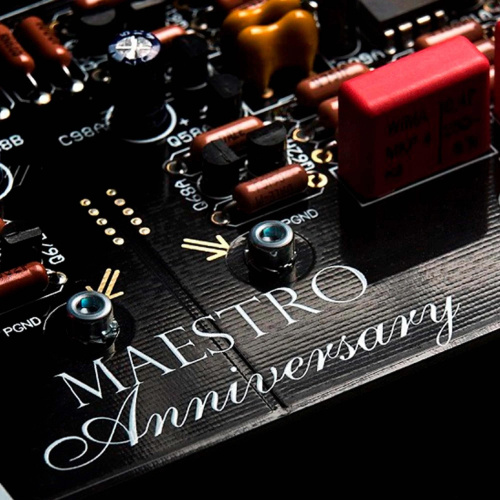 Интегральный усилитель Audio Analogue Maestro Anniversary RR Silver купить фото 7