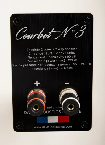 Полочная акустика Davis Acoustics Courbet 3 White Gloss купить фото 4
