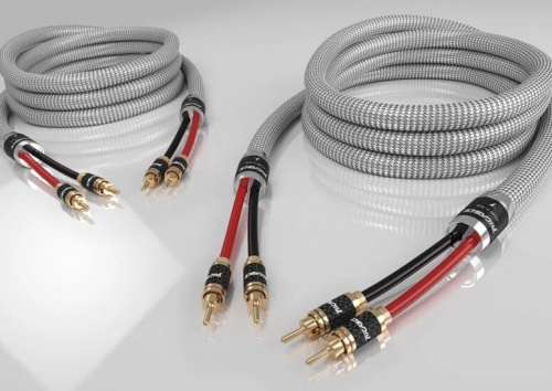 Кабель акустический Ricable Invictus Speaker Reference MKII 2 x 2 m купить фото 2