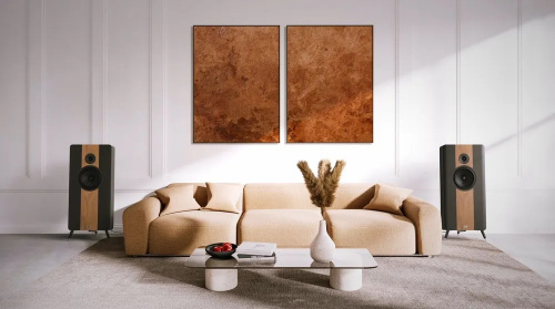 Напольная акустика HECO Direkt Premium Black / Walnut купить фото 6