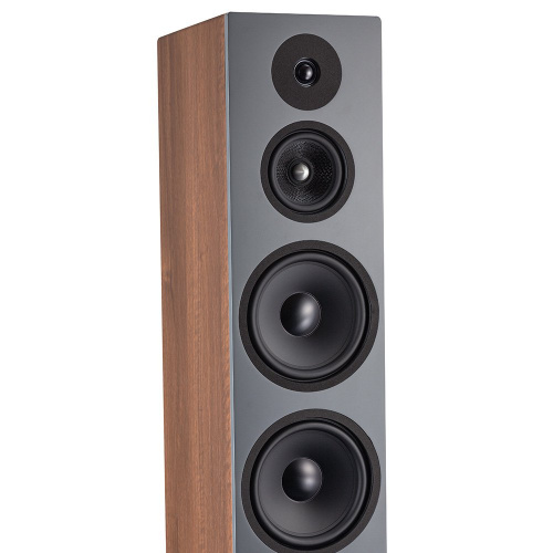 Напольная акустика Davis Acoustics Krypton 10 Classik walnut купить фото 3