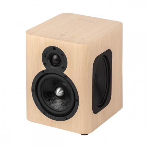 Активная акустическая система OCTAVIO MAESTRO Light купить