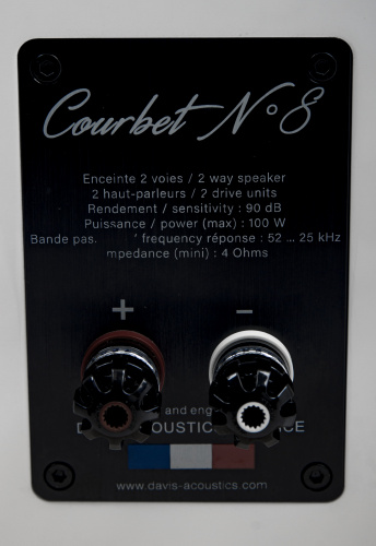 Напольная акустика Davis Acoustics Courbet 8 White Matt купить фото 9
