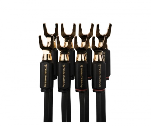 Кабель акустический Tributaries 6BA-L-100D 10 ft. 3m (4x4 Spade) купить