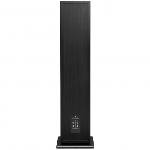 Напольная акустика Triangle BOREA BR10 Black Ash купить фото 4