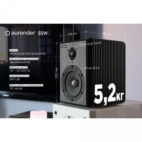 Акустическая система Aurender S5W Black купить фото 7