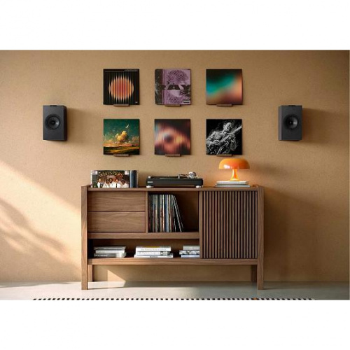Полочная АС KEF Q1 Meta Walnut купить фото 3
