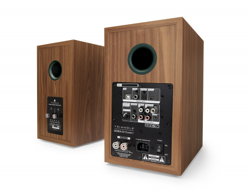 Активная АС Triangle BOREA BR02 Connect Oak Green купить фото 7