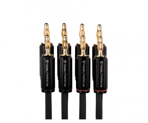 Кабель акустический Tributaries 4BA-B-060D 6 ft. 1.8m (4X4 Banana) купить