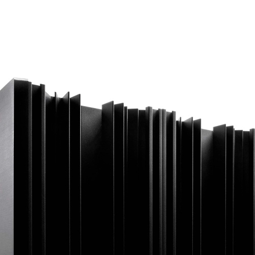 Интегральный усилитель Audio Analogue Maestro Anniversary RR Black купить фото 3