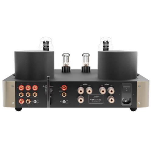Усилитель интегральный Fezz Audio Mira Ceti 2A3 EVO Sunlight купить фото 4