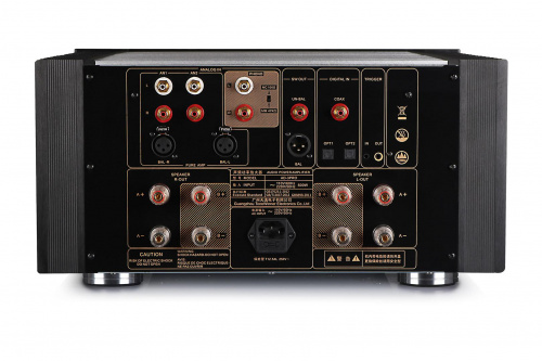 Интегральный усилитель Tone Winner AD-3PRO+ купить фото 6