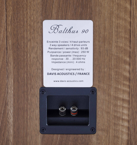 Напольная акустика Davis Acoustics Balthus 90 Walnut купить фото 4