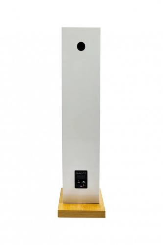 Напольная акустика Davis Acoustics Courbet 8 White Gloss купить фото 4