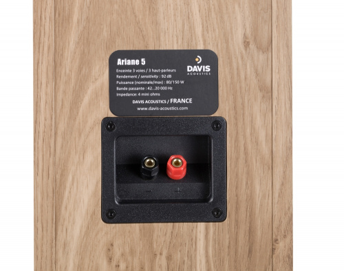 Напольная акустика Davis Acoustics Ariane 5 Light Oak купить фото 3