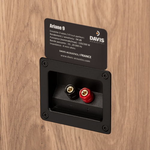 Напольная акустика Davis Acoustics Ariane 9 Light Oak купить фото 7