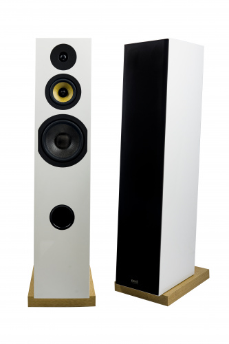 Напольная акустика Davis Acoustics Courbet 8 White Matt купить