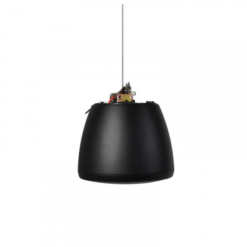 Подвесная акустика Elipson Bell 6 black купить фото 4