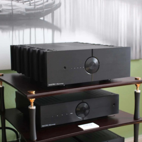 Интегральный усилитель Audio Analogue Maestro Anniversary RR Black купить фото 9