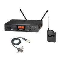 Радиосистема Audio-Technica ATW-2110a/P2 купить