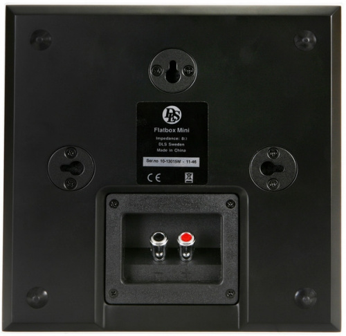 Настенная акустика DLS Flatbox MINI V3 black piano купить фото 2